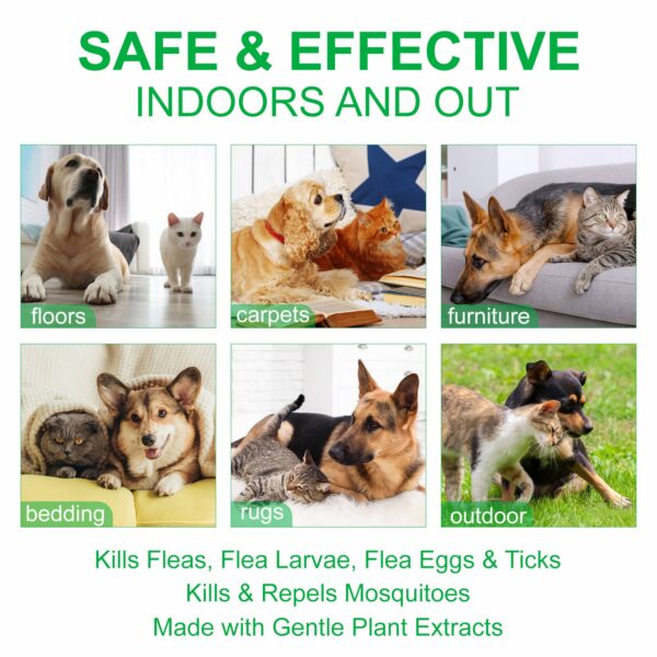 Flea & Tick Spray