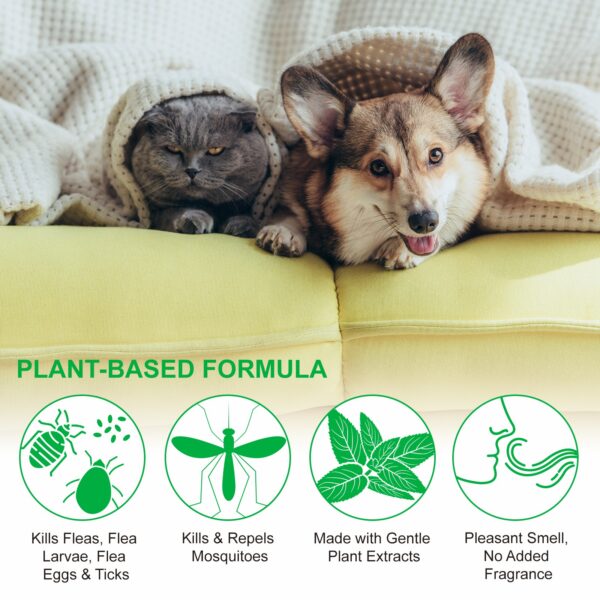 Flea & Tick Spray